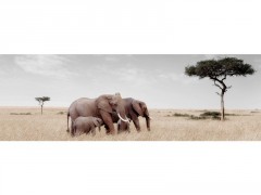 TOILE FAMILY ELEPHANT 45X135 NOIR BLANC